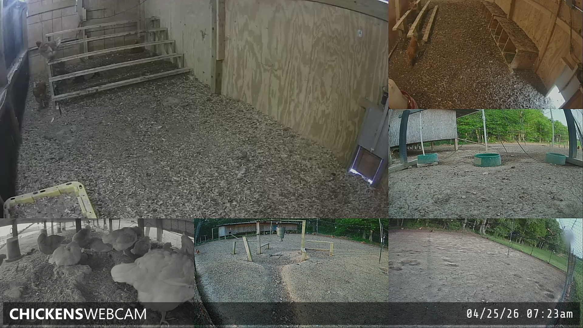 Twitch Stream Preview