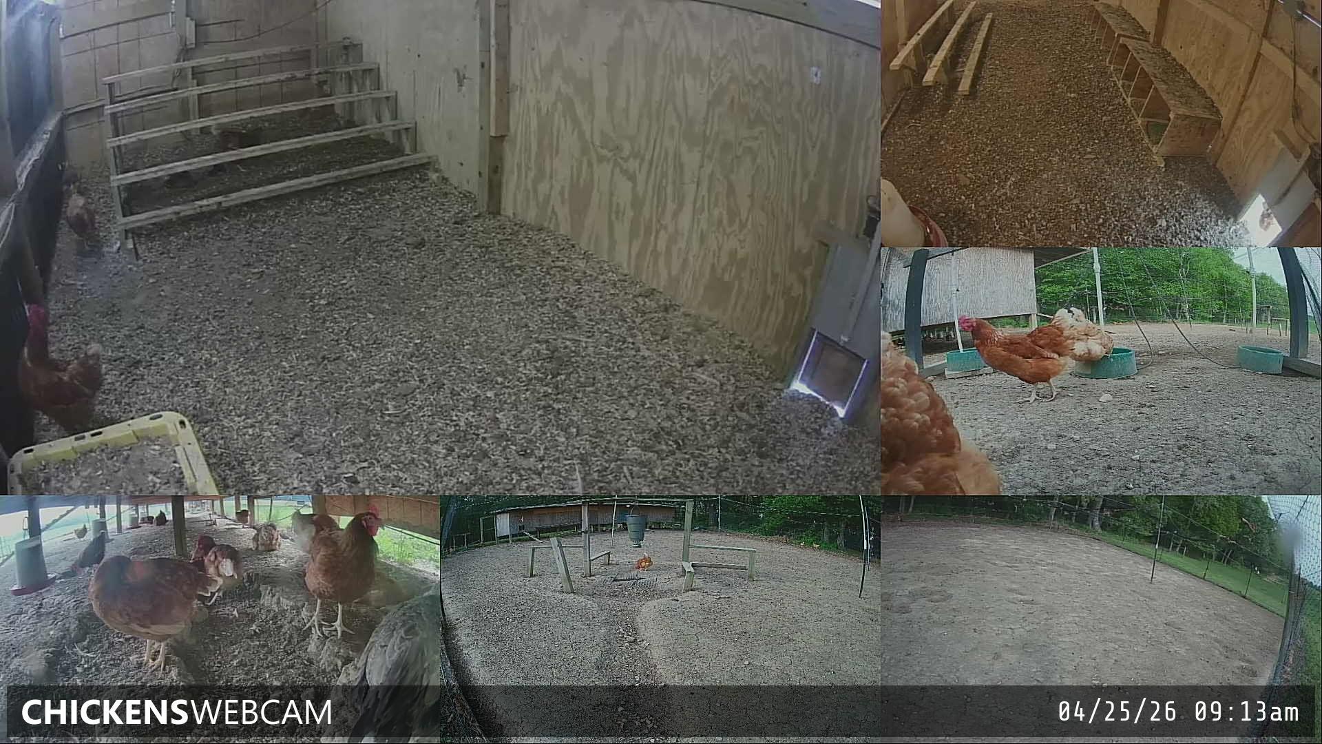 Twitch Stream Preview