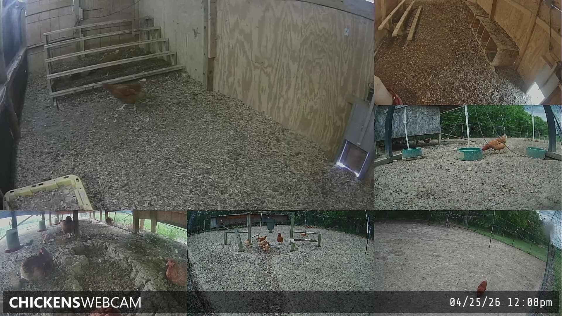 Twitch Stream Preview