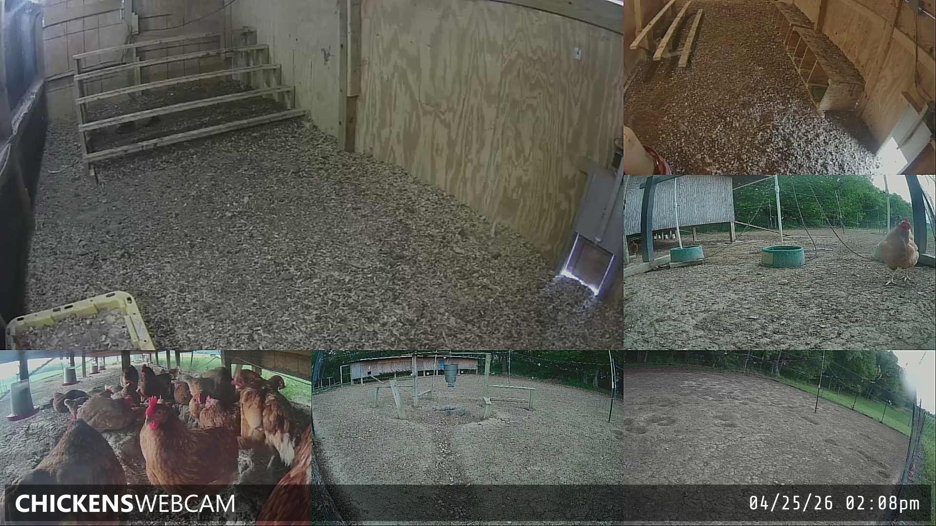 Twitch Stream Preview