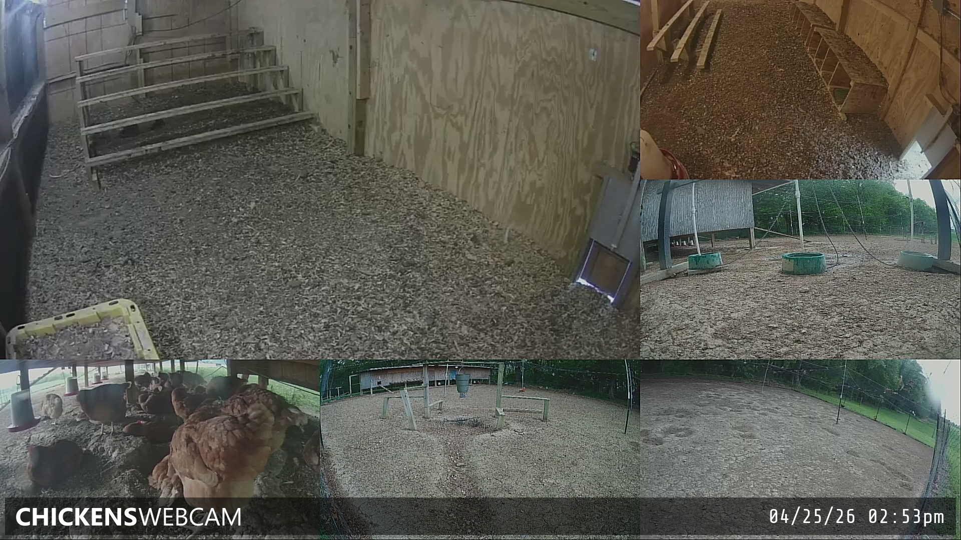 Twitch Stream Preview