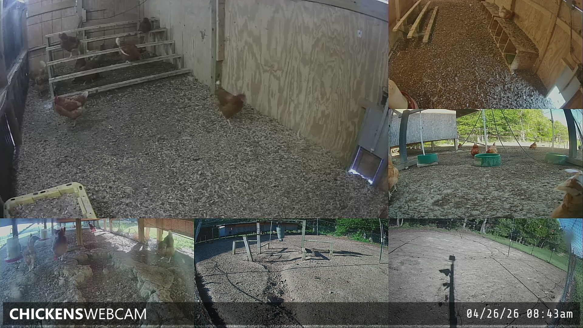 Twitch Stream Preview