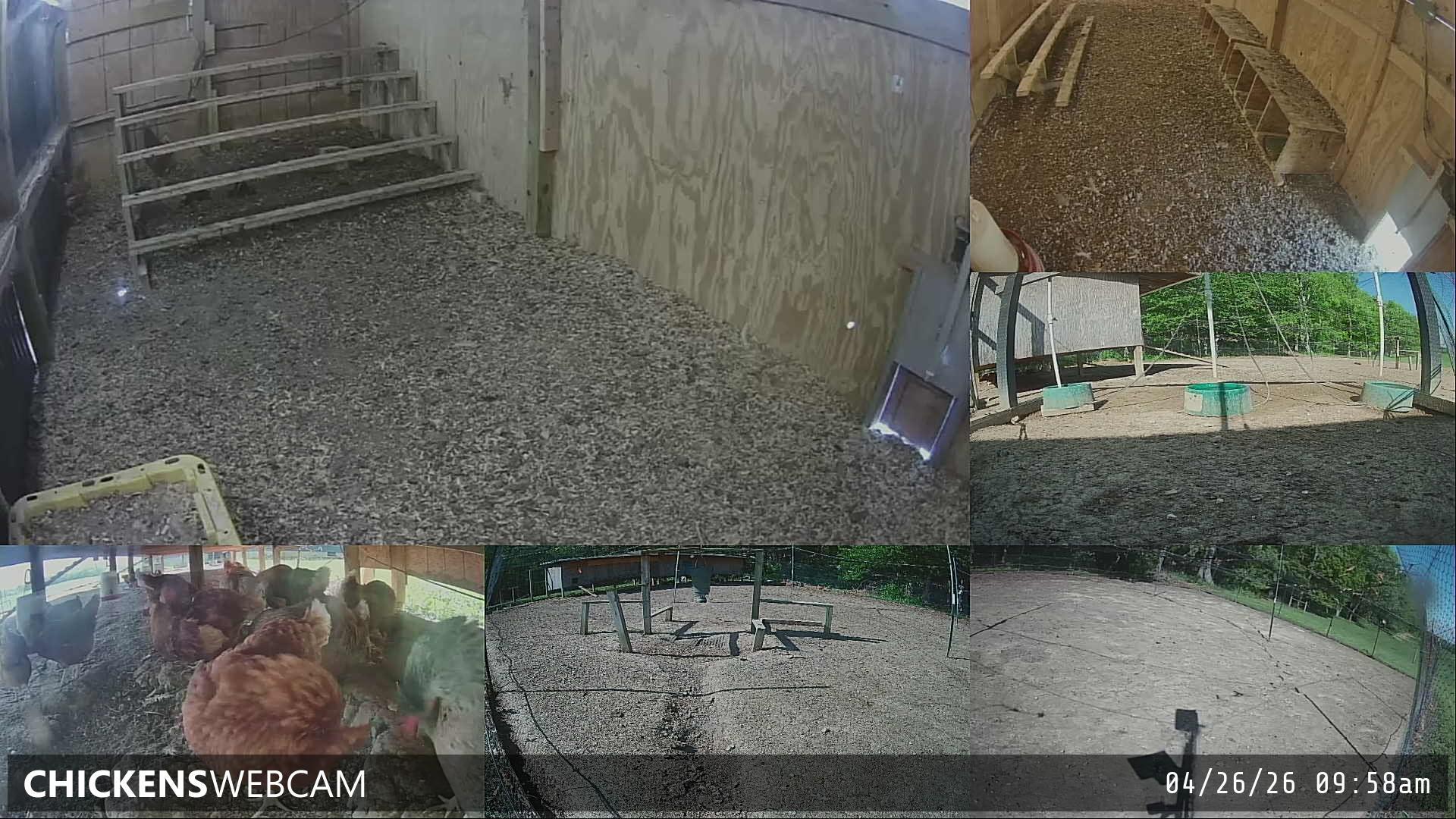 Twitch Stream Preview