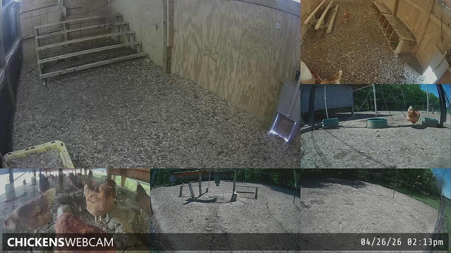 Twitch Stream Preview