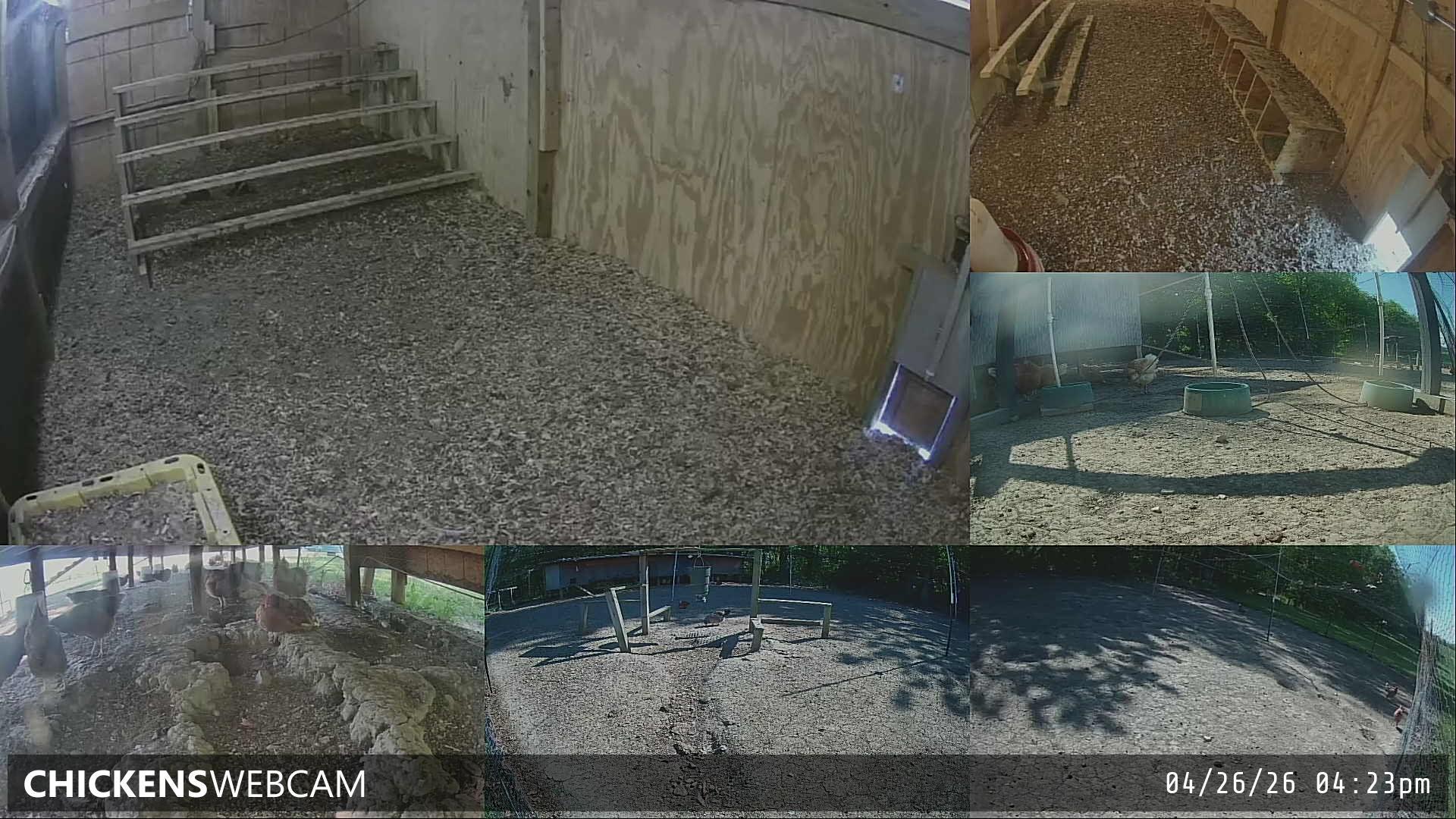 Twitch Stream Preview