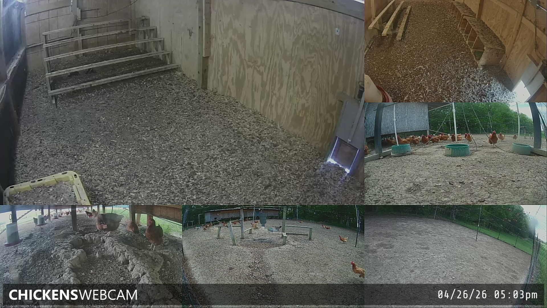 Twitch Stream Preview