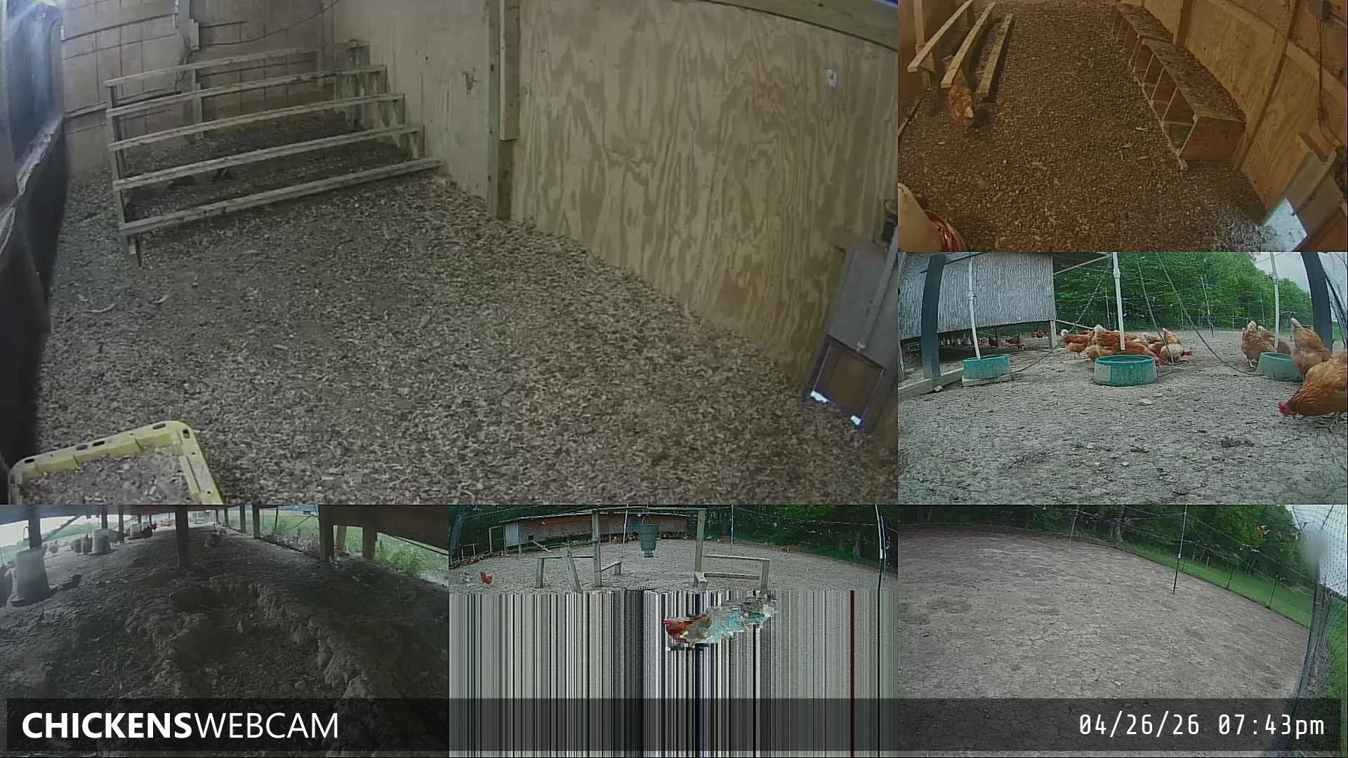 Twitch Stream Preview