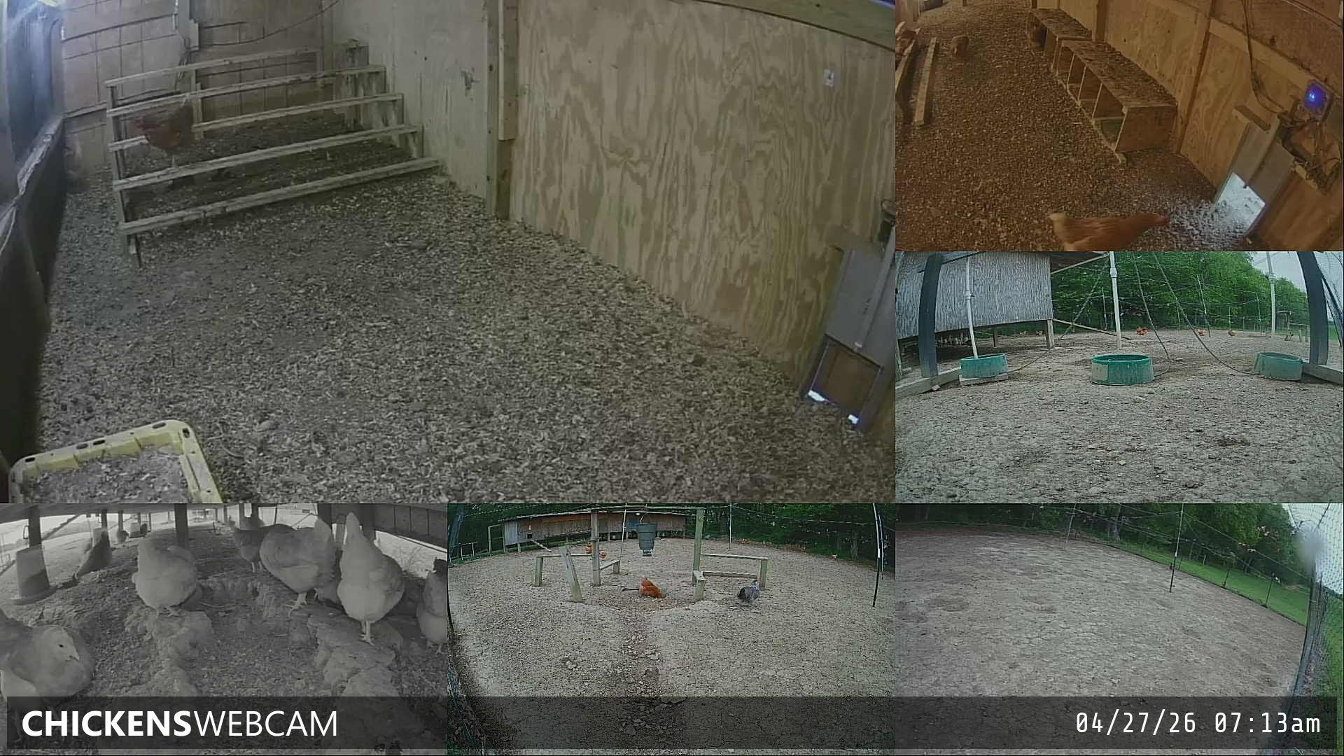 Twitch Stream Preview