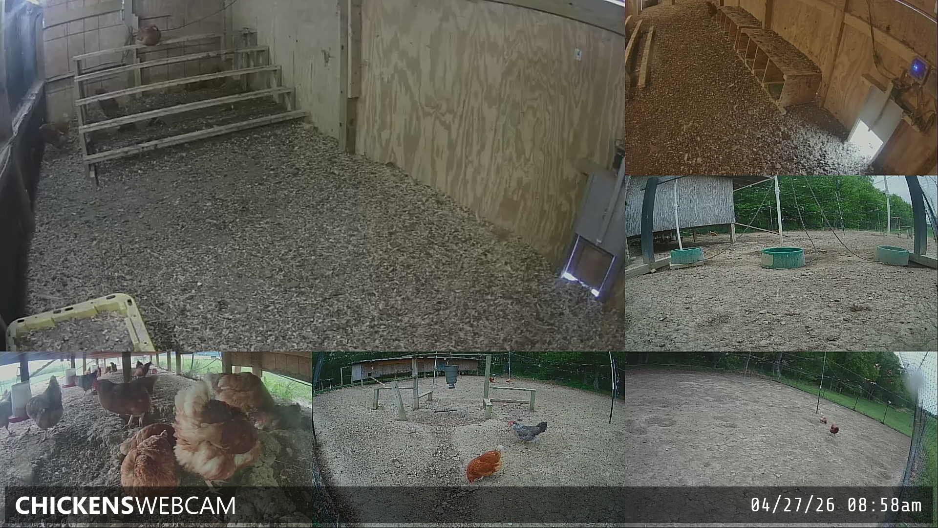 Twitch Stream Preview