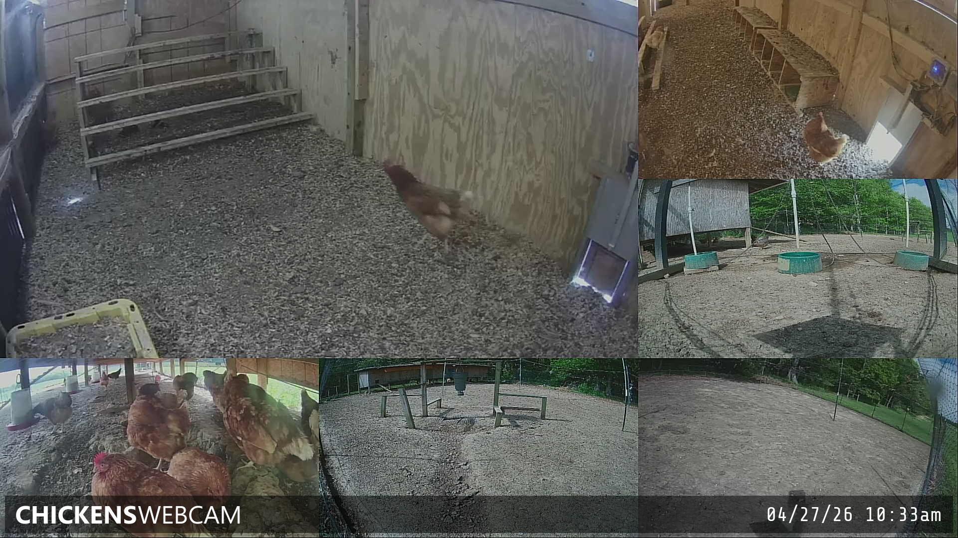 Twitch Stream Preview