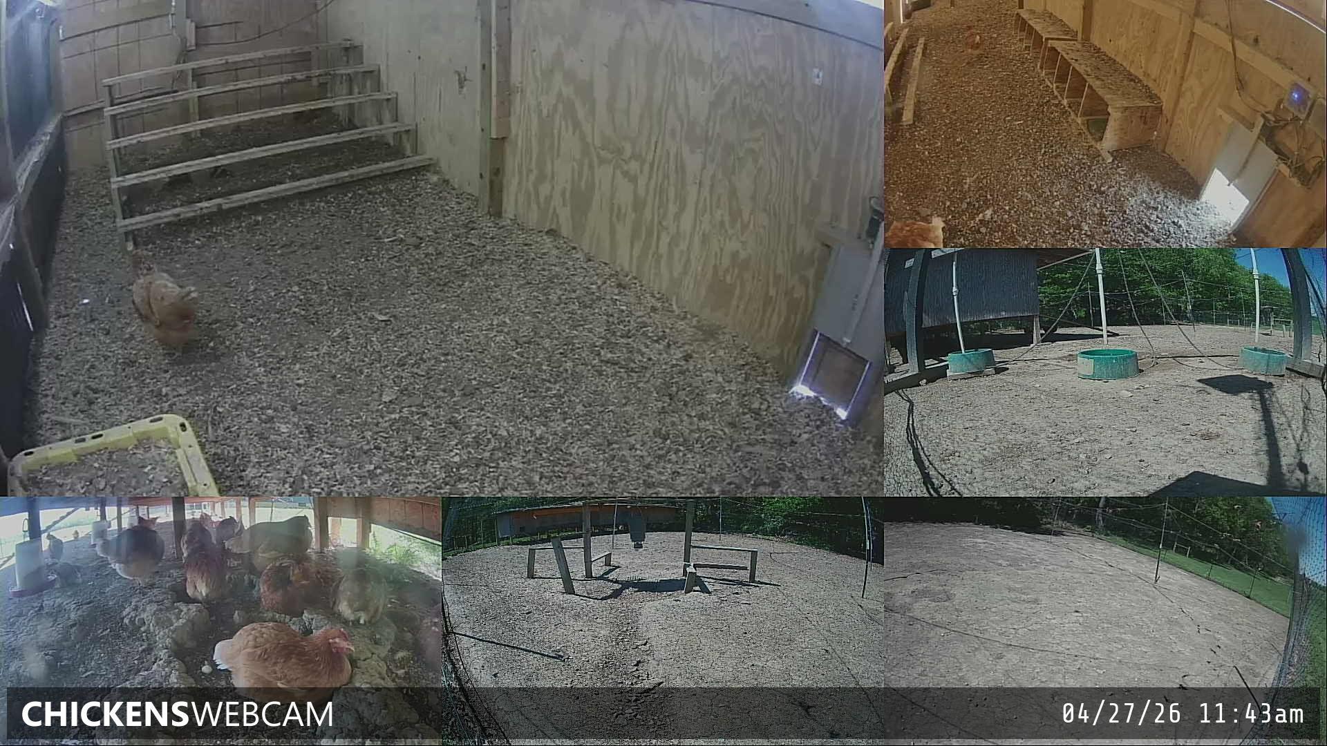 Twitch Stream Preview