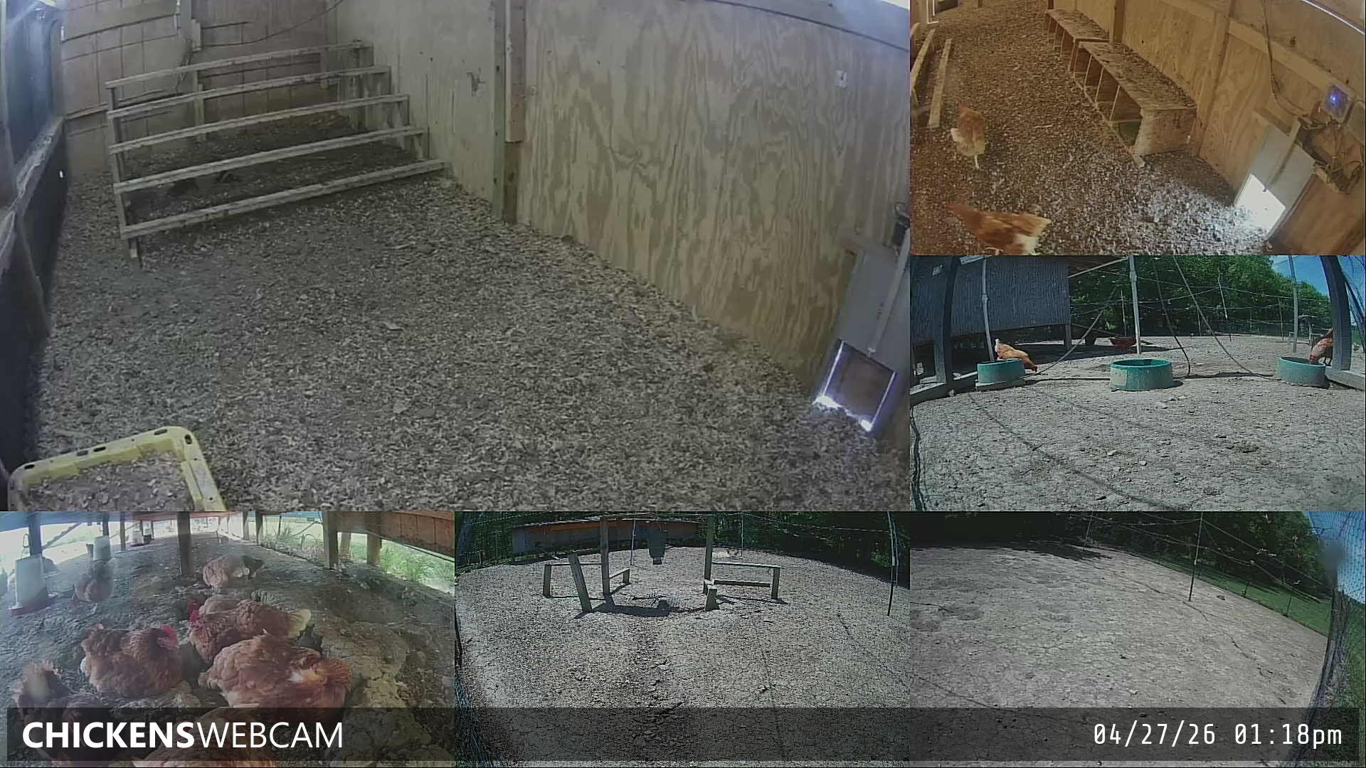 Twitch Stream Preview