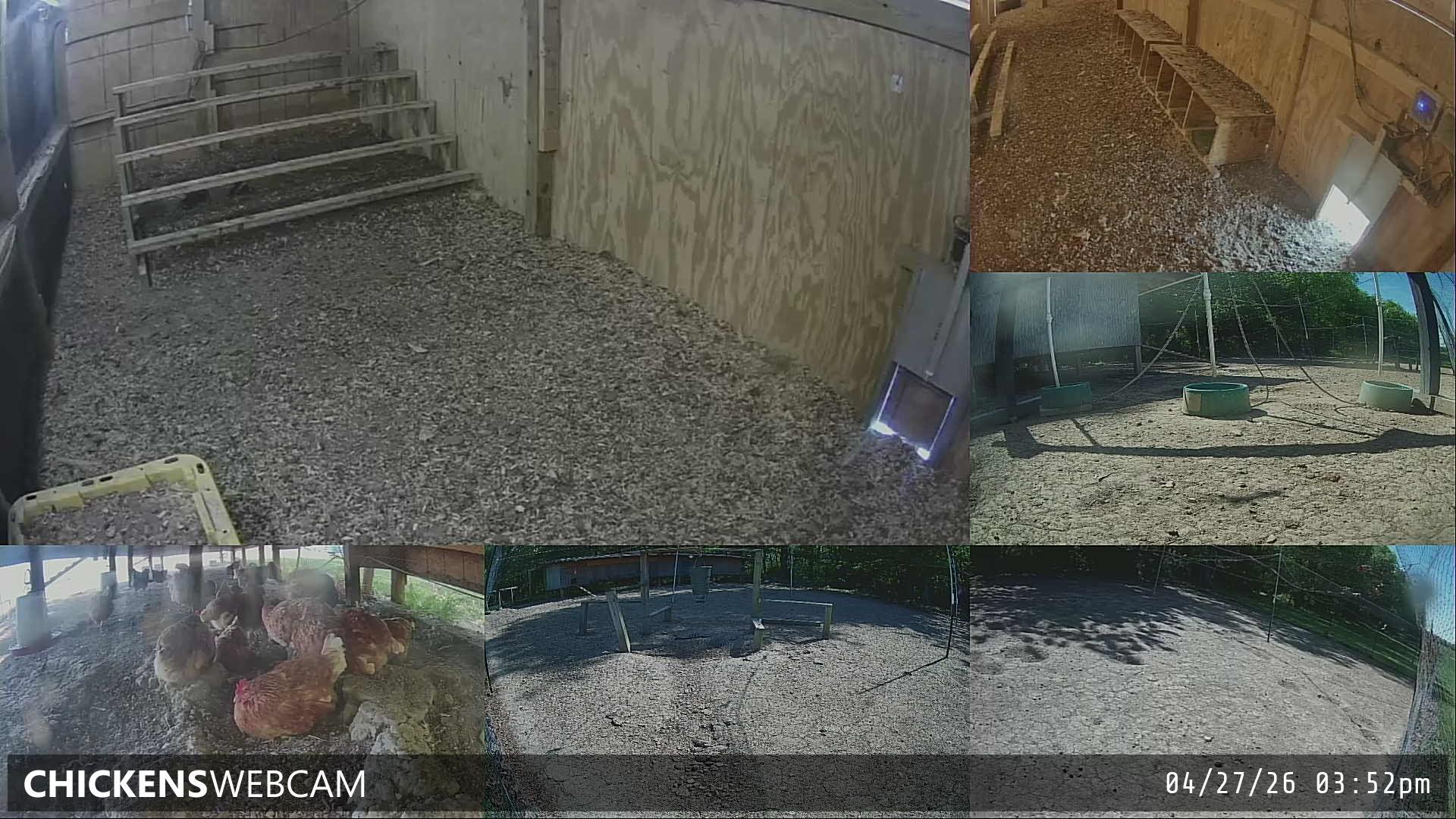 Twitch Stream Preview