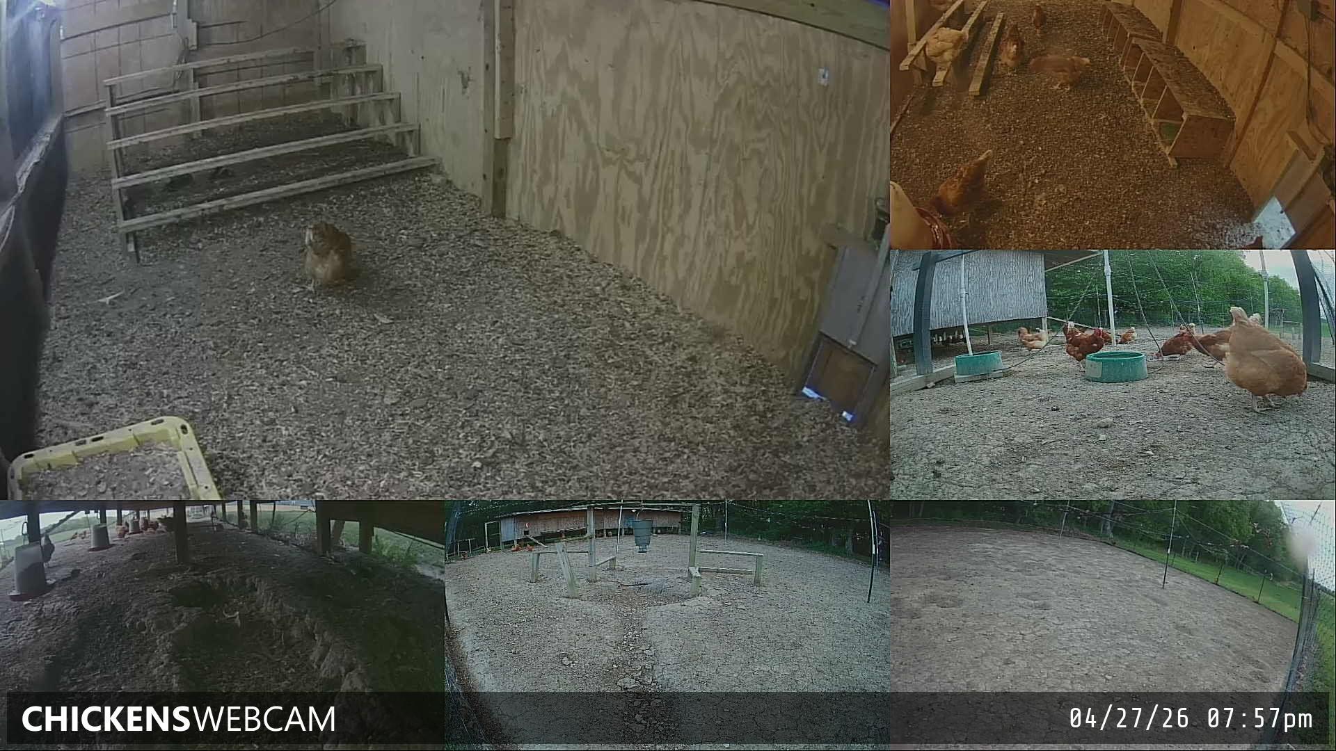 Twitch Stream Preview