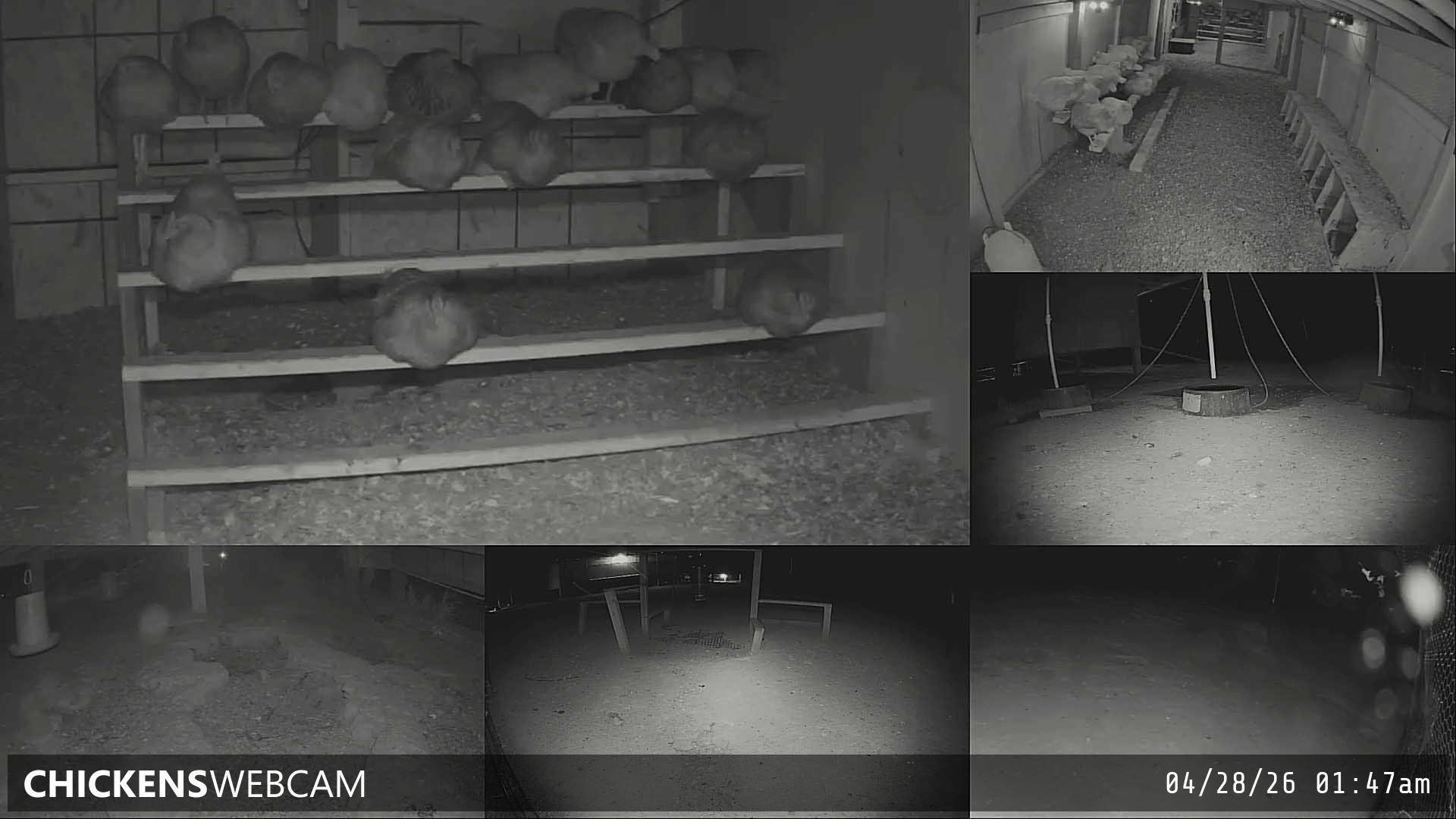 Twitch Stream Preview