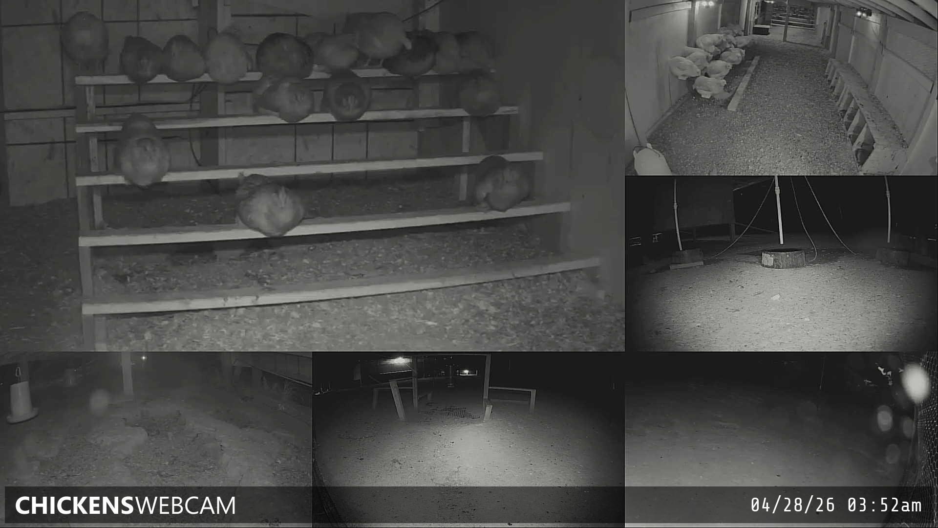 Twitch Stream Preview