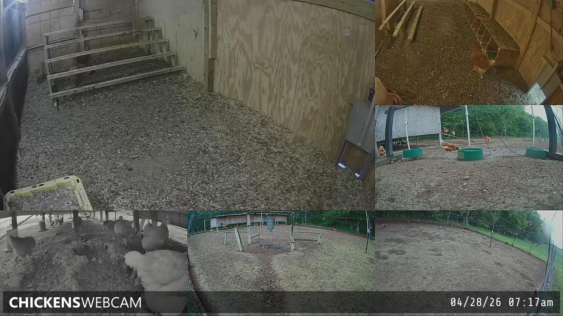 Twitch Stream Preview