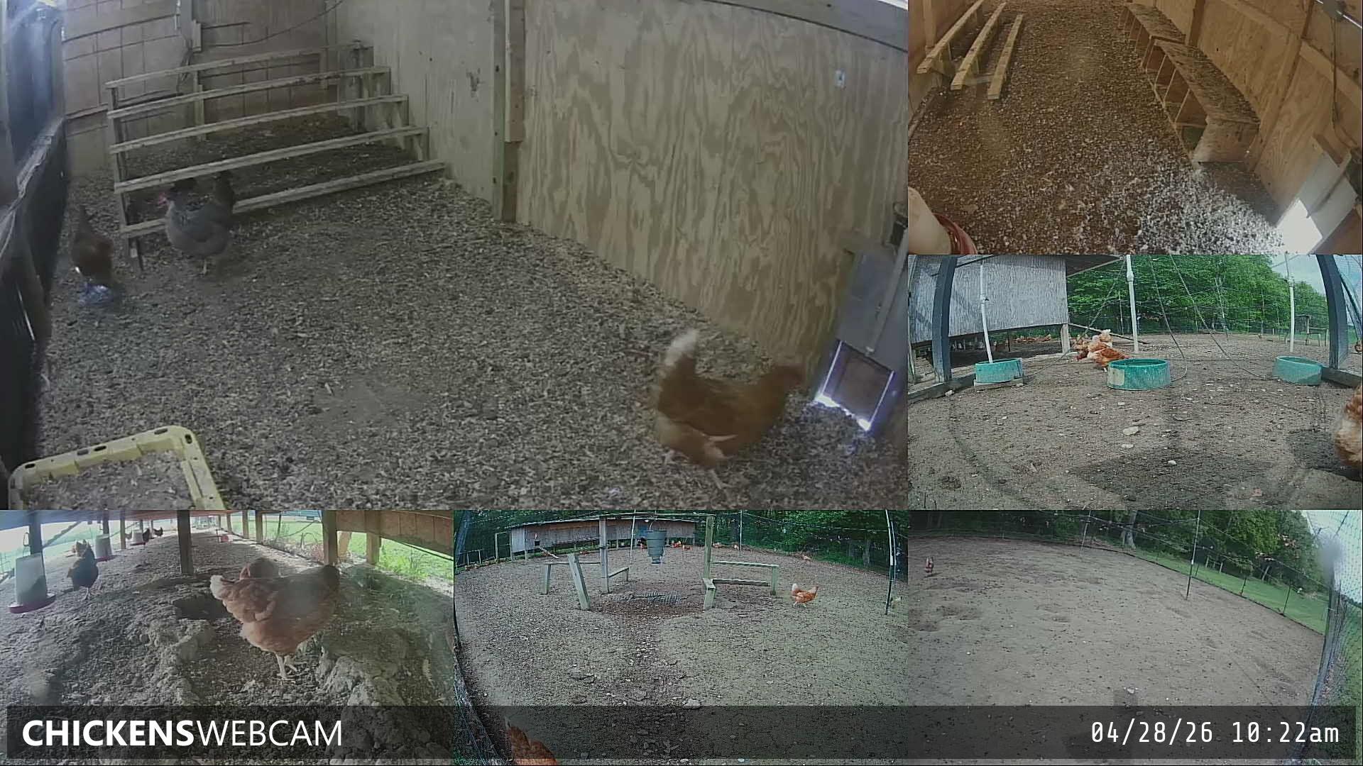 Twitch Stream Preview