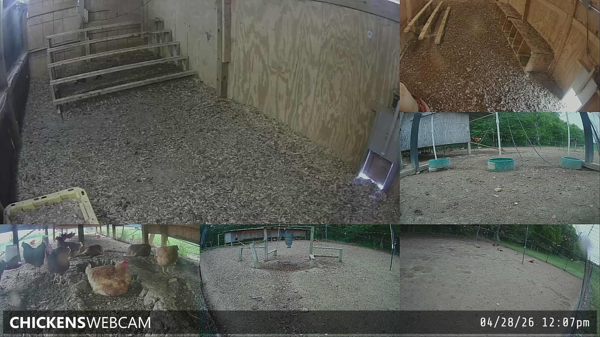 Twitch Stream Preview