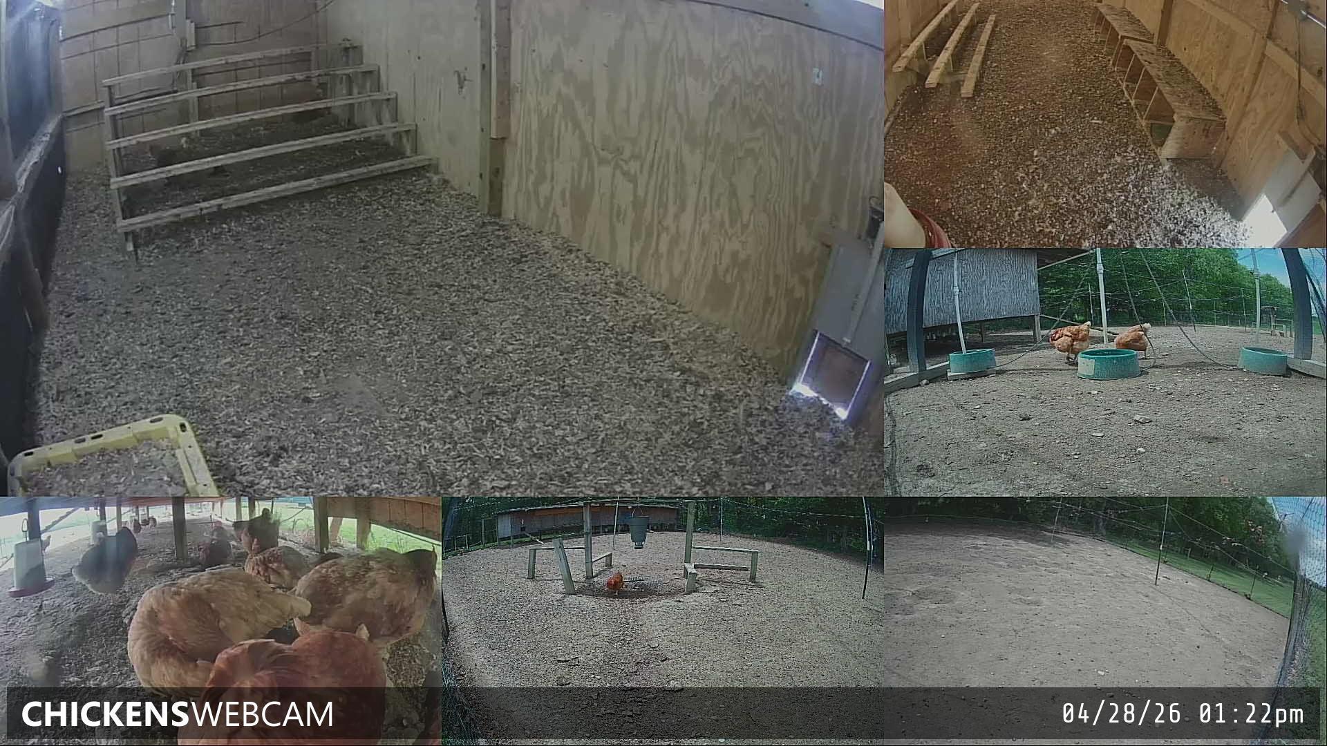 Twitch Stream Preview