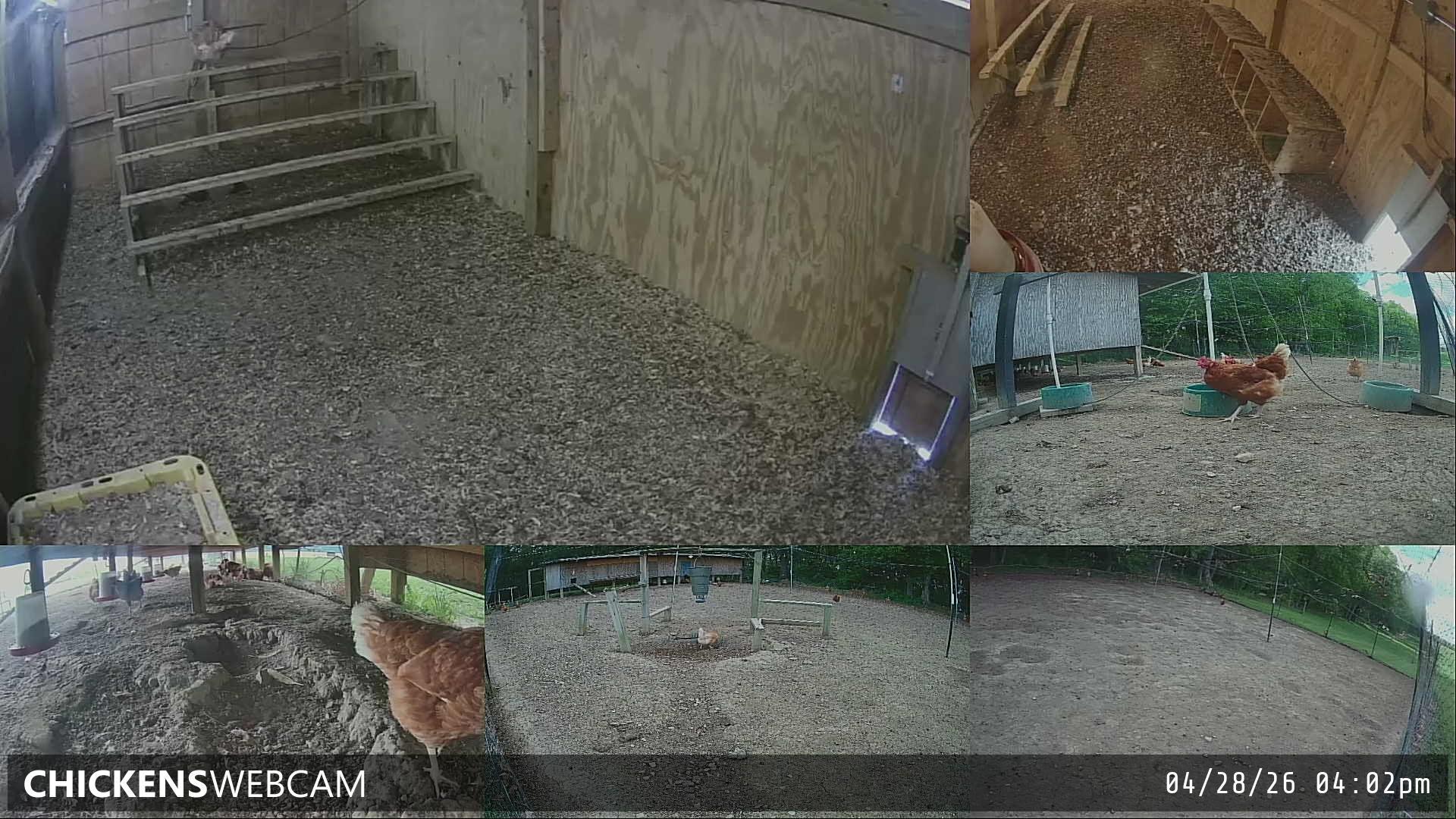 Twitch Stream Preview