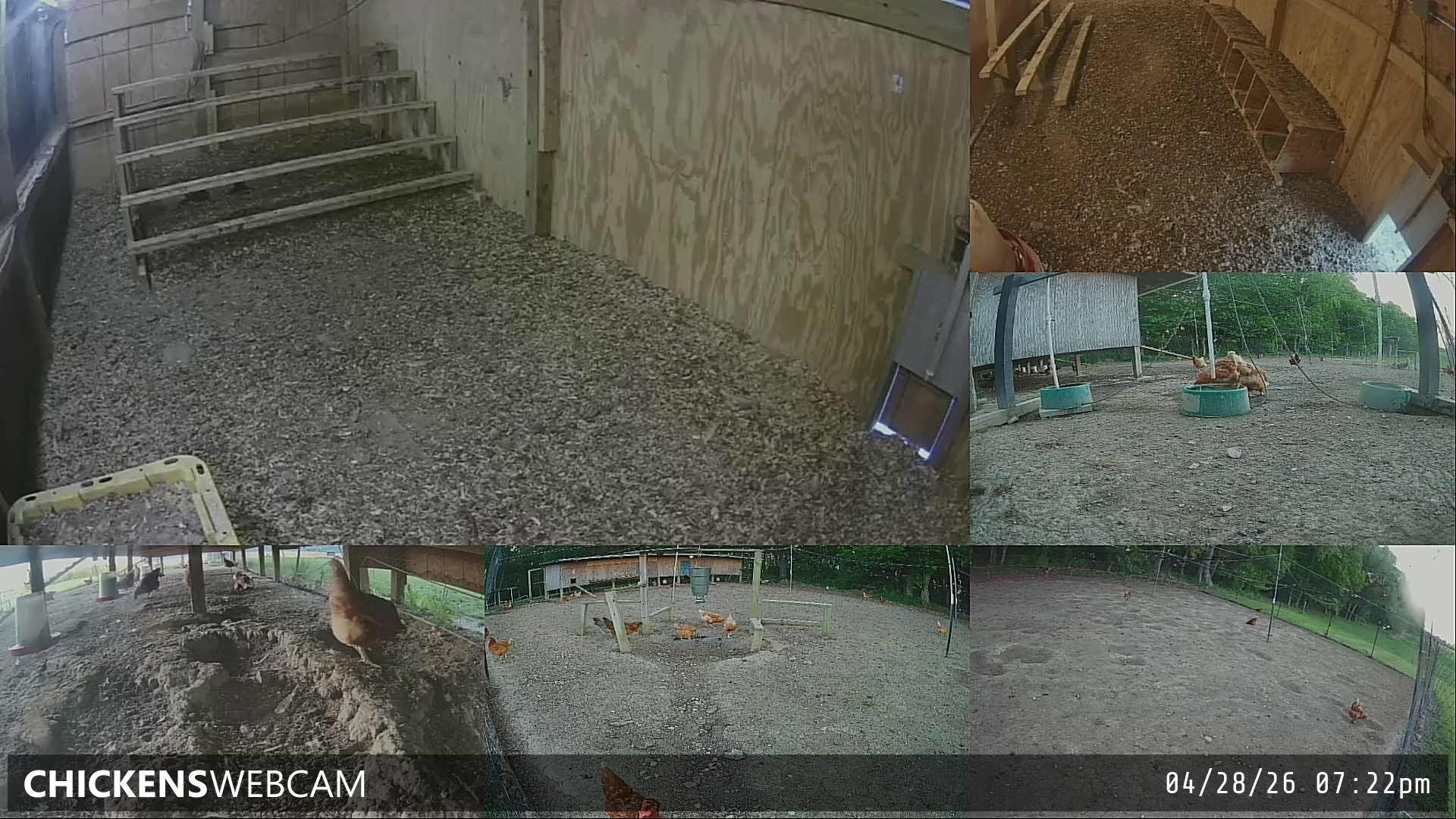 Twitch Stream Preview