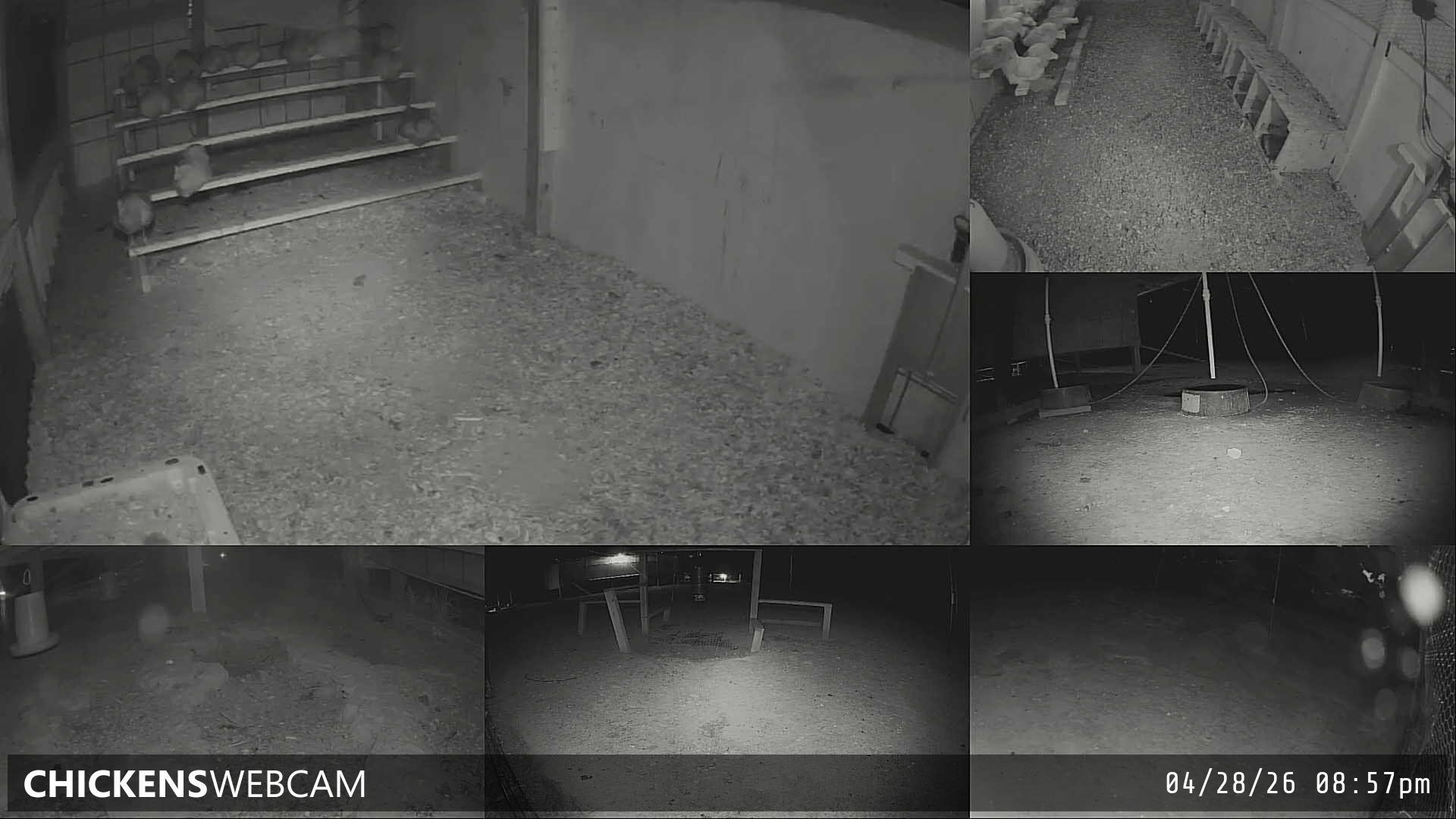 Twitch Stream Preview