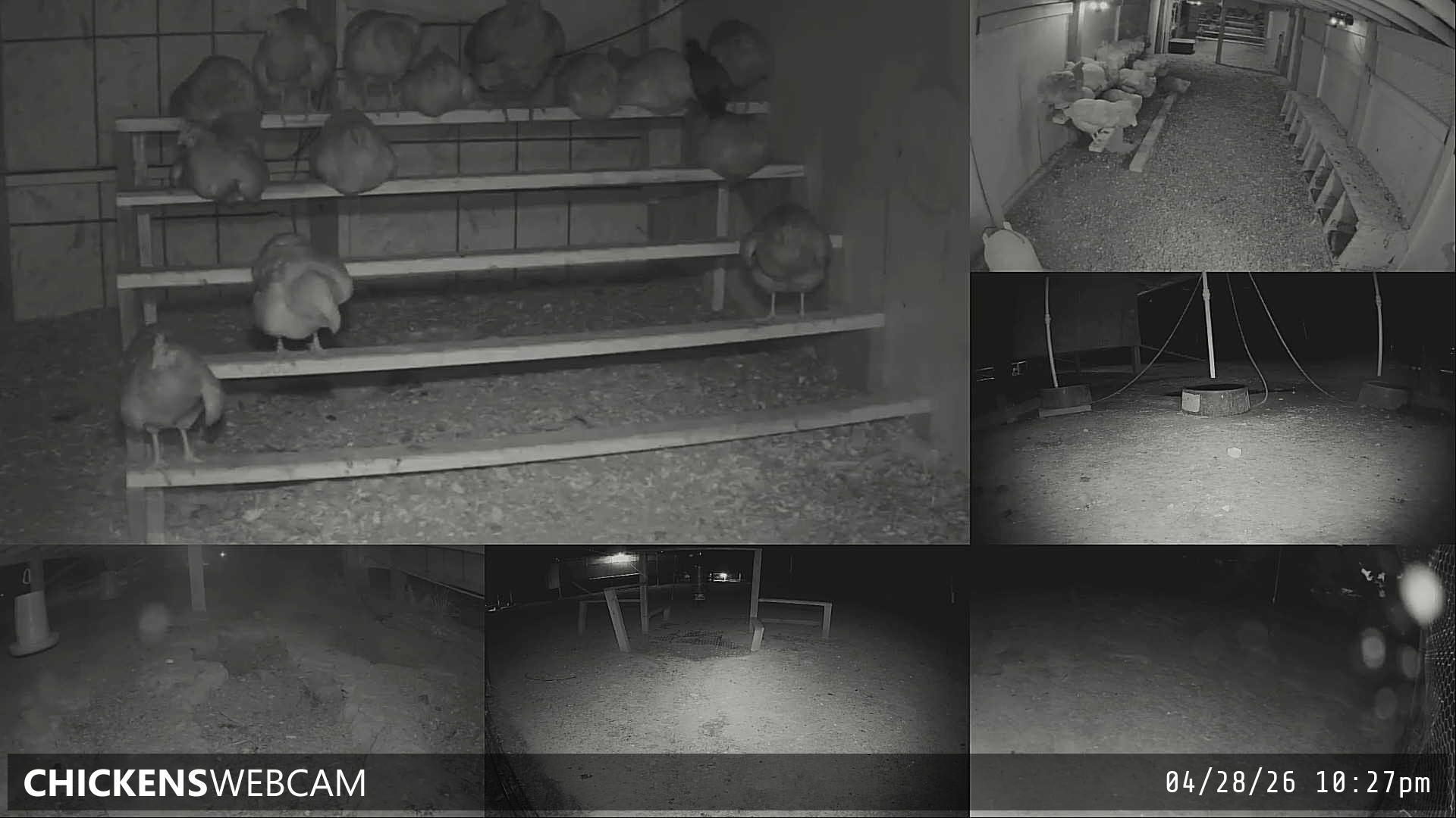 Twitch Stream Preview