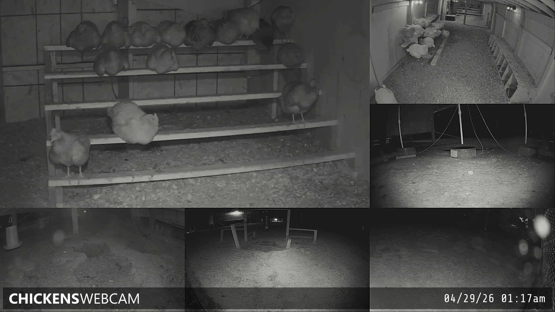 Twitch Stream Preview