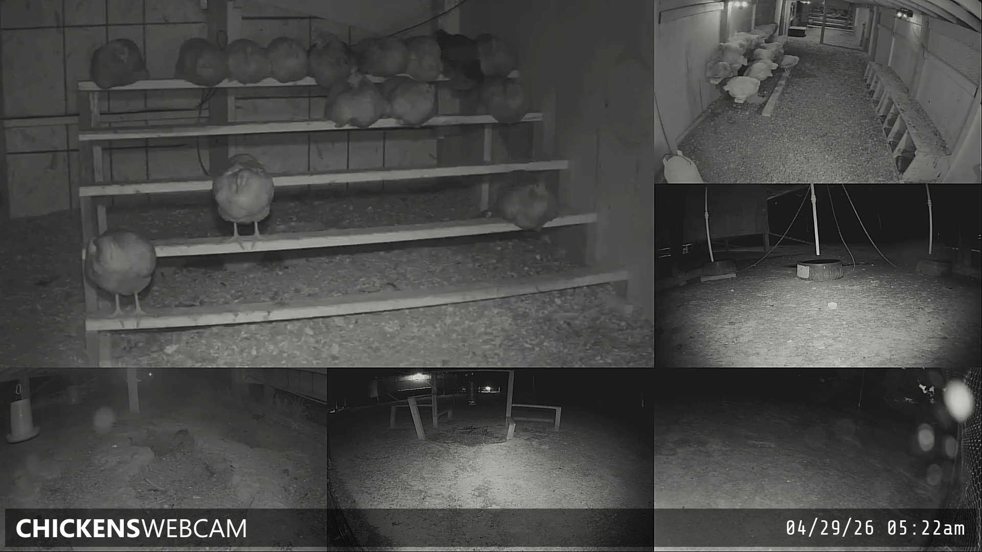 Twitch Stream Preview