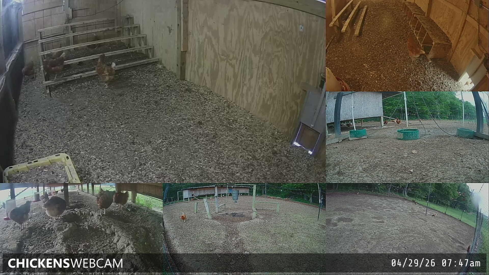 Twitch Stream Preview