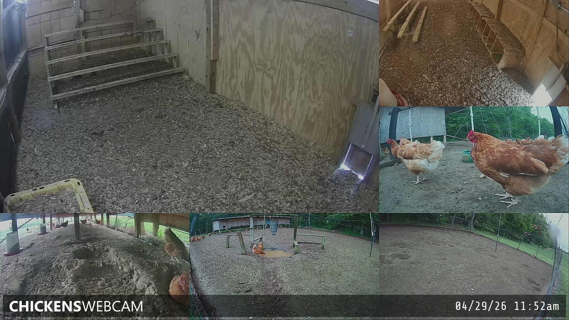 Twitch Stream Preview