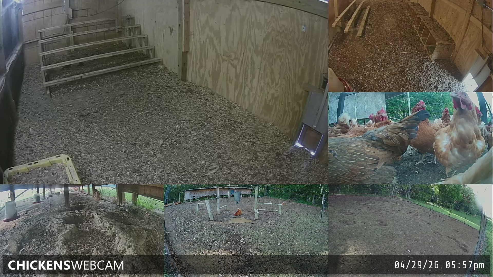 Twitch Stream Preview