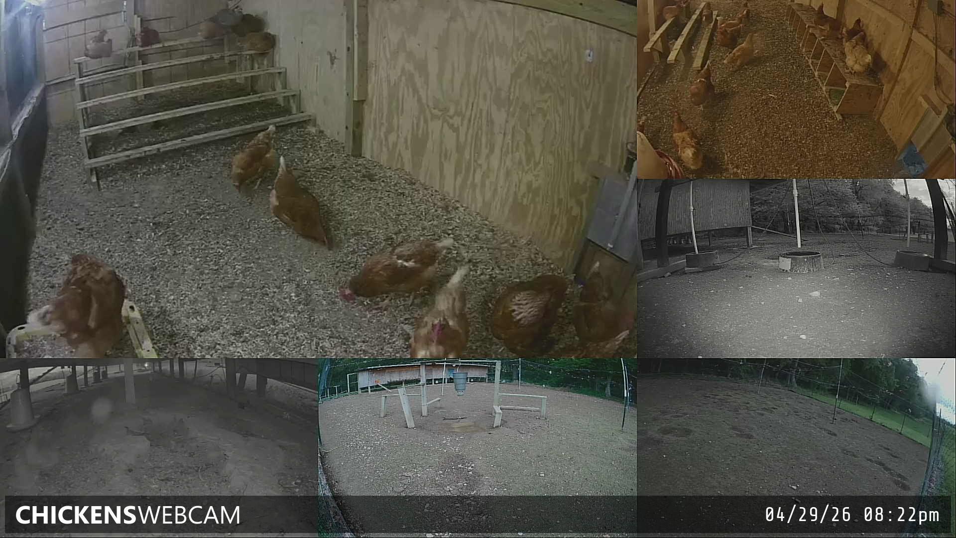 Twitch Stream Preview