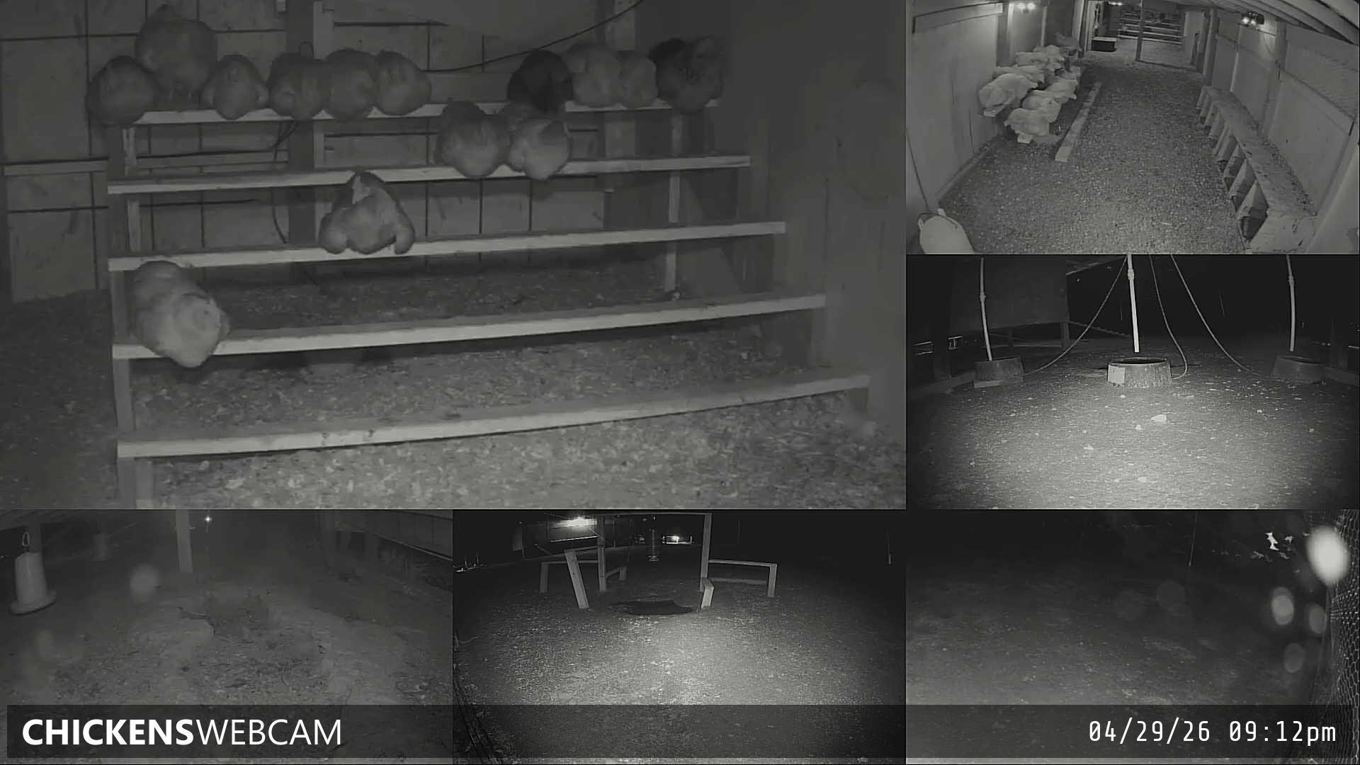 Twitch Stream Preview