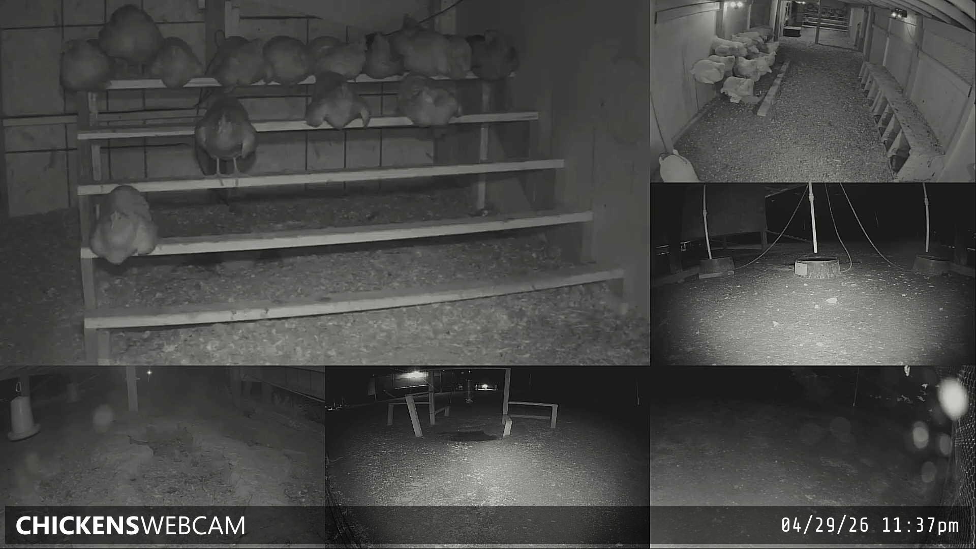 Twitch Stream Preview