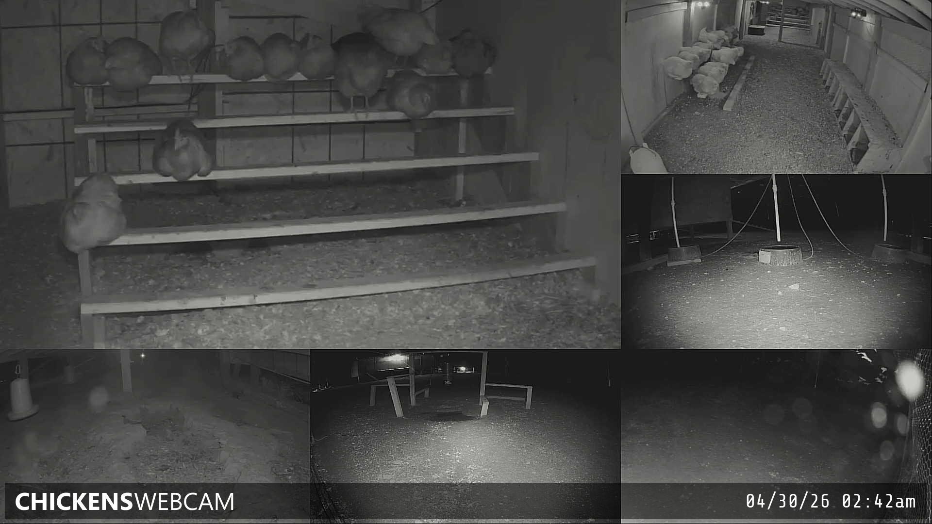 Twitch Stream Preview