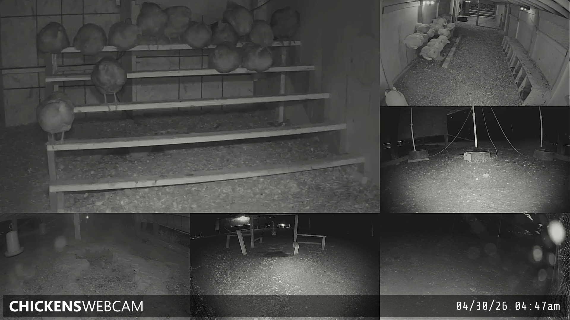 Twitch Stream Preview