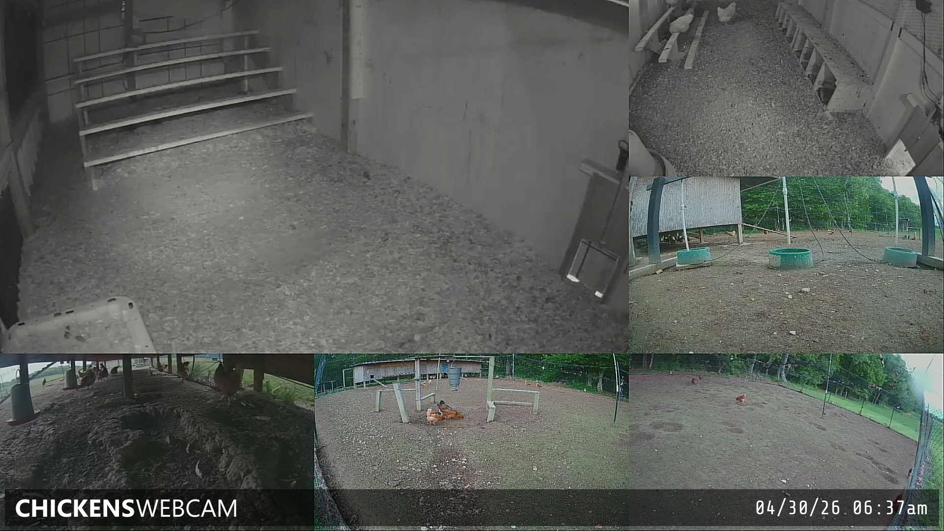 Twitch Stream Preview