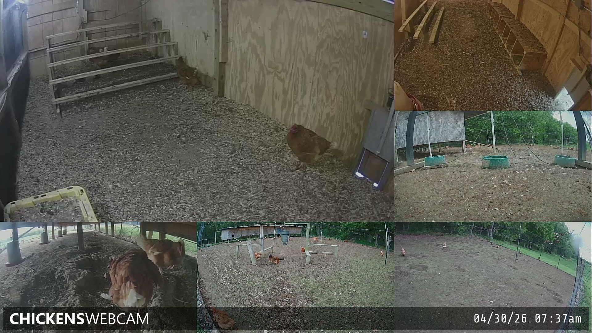 Twitch Stream Preview