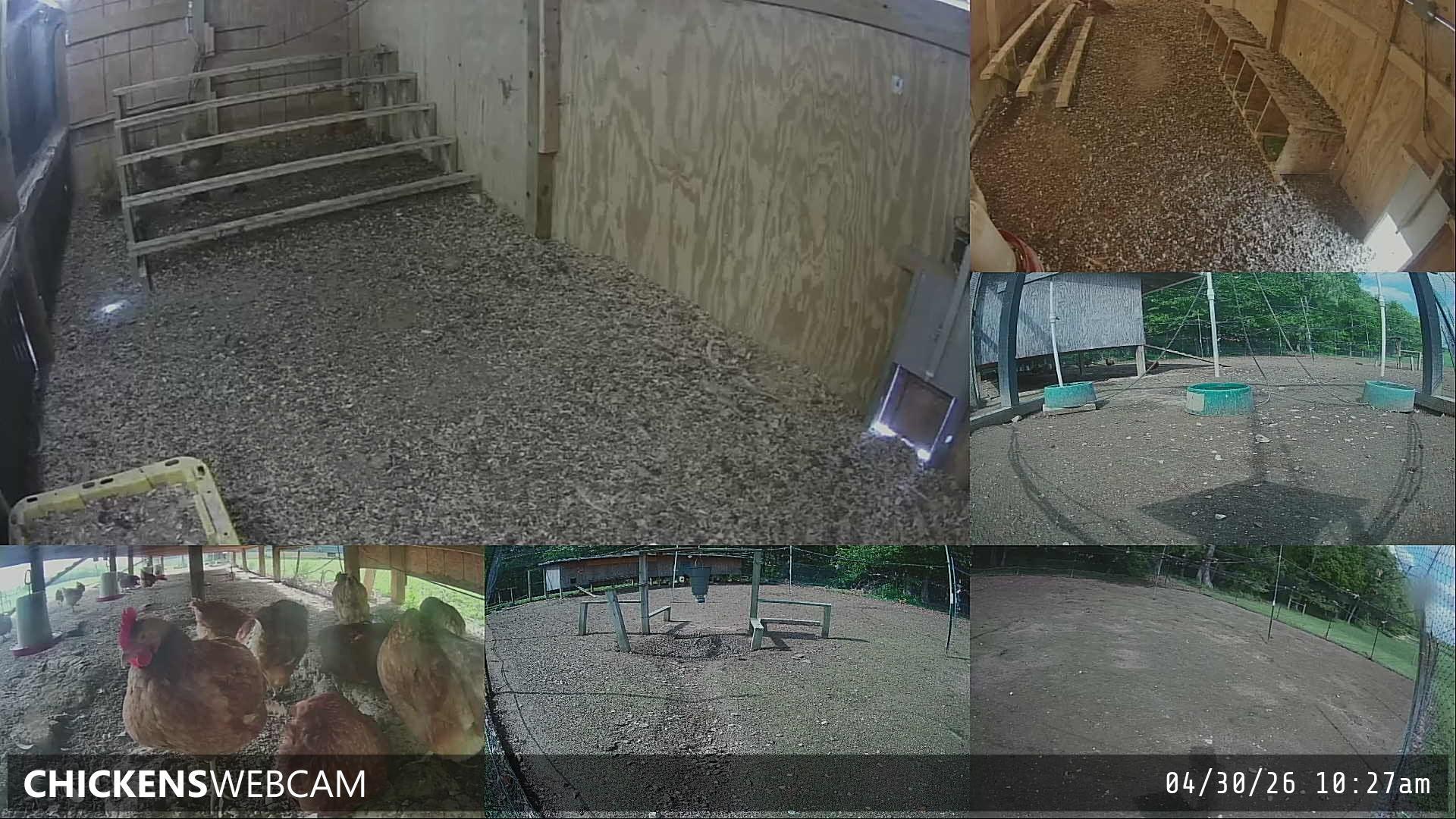 Twitch Stream Preview