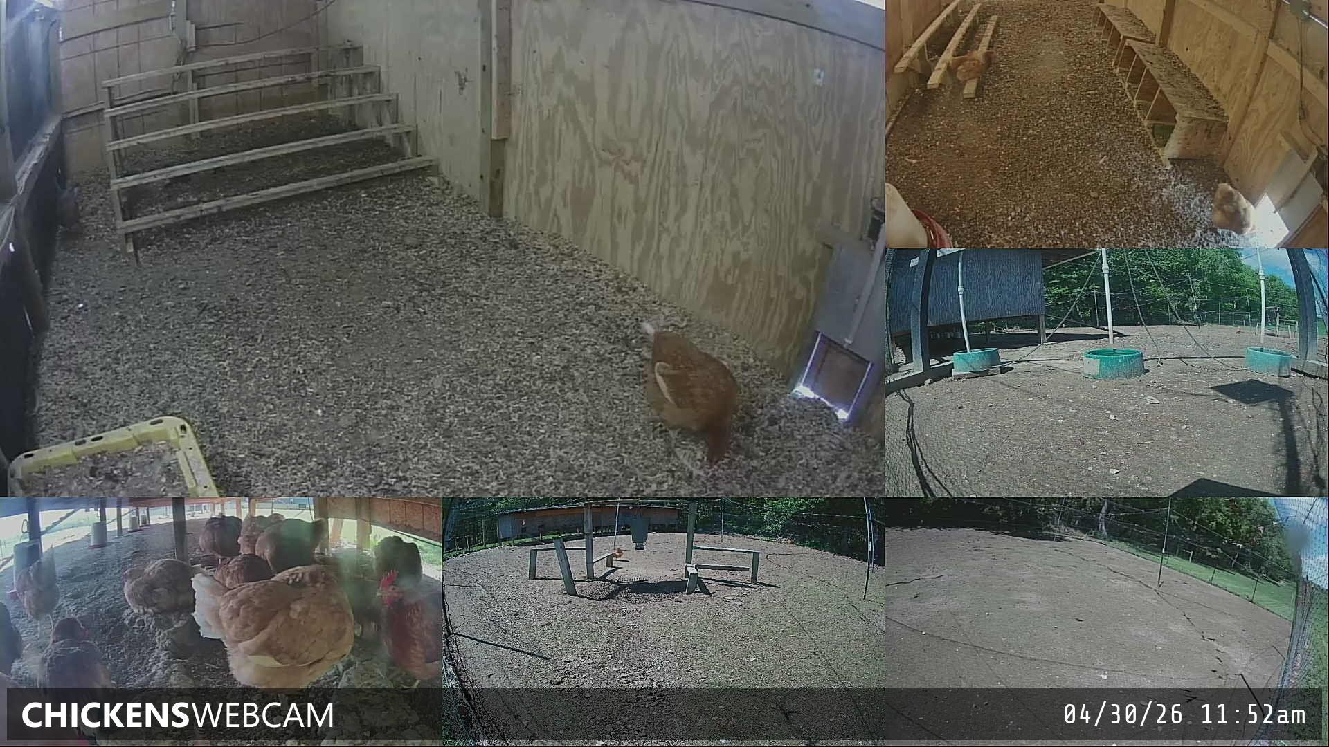 Twitch Stream Preview