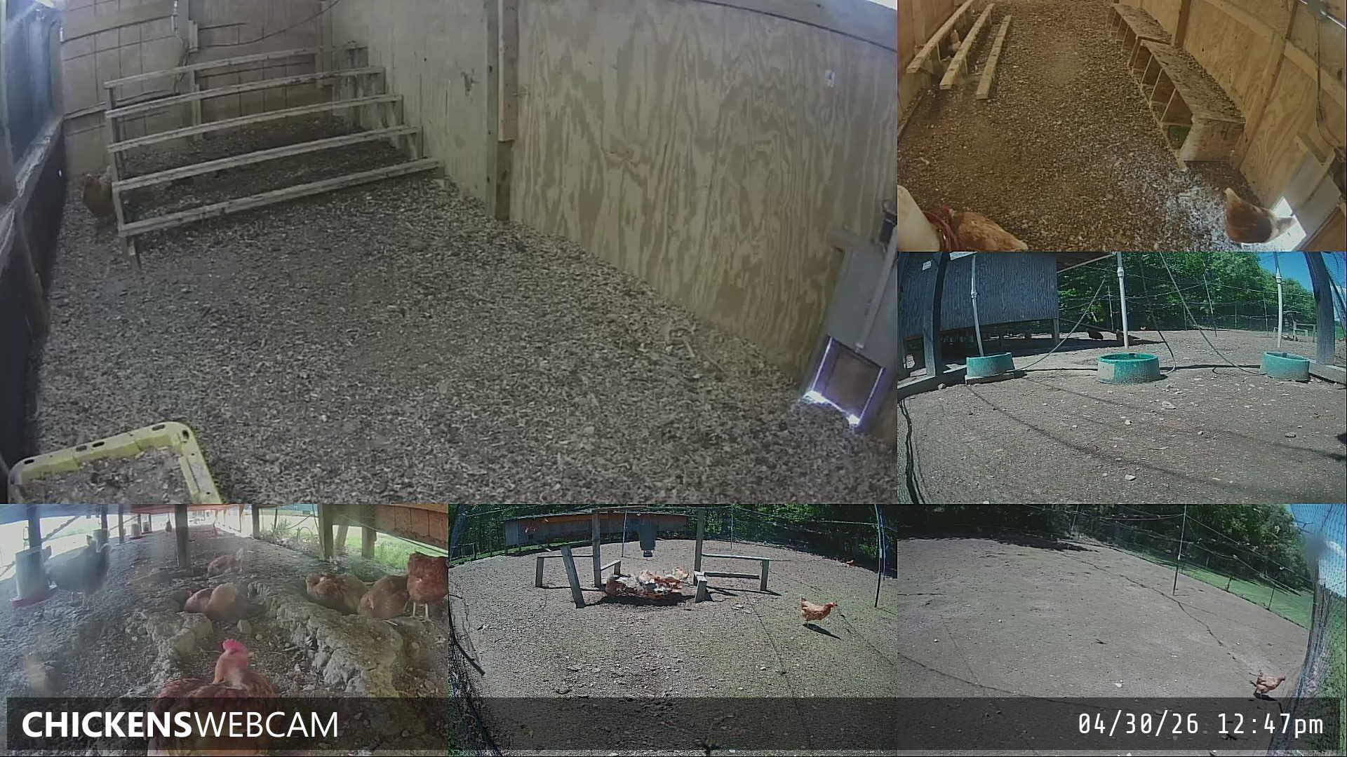 Twitch Stream Preview