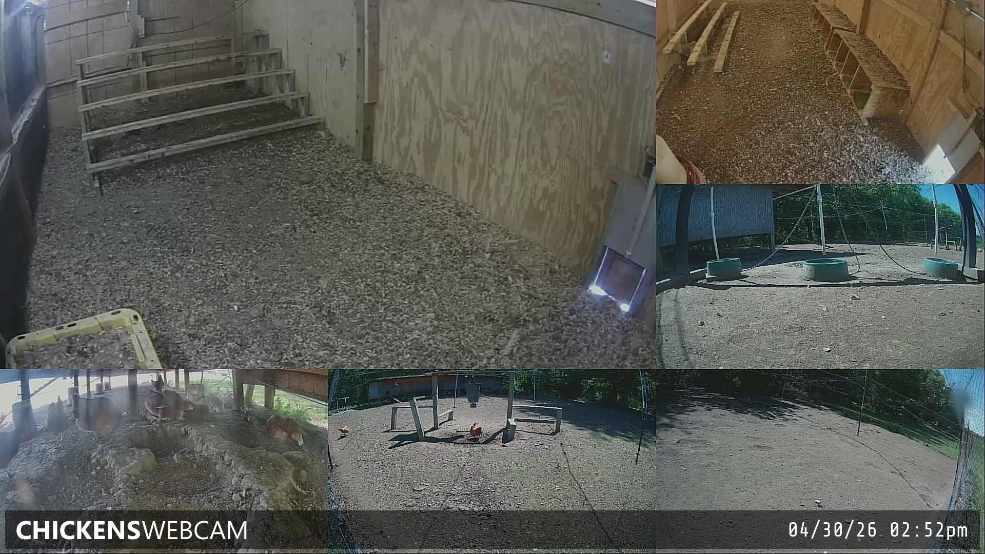 Twitch Stream Preview