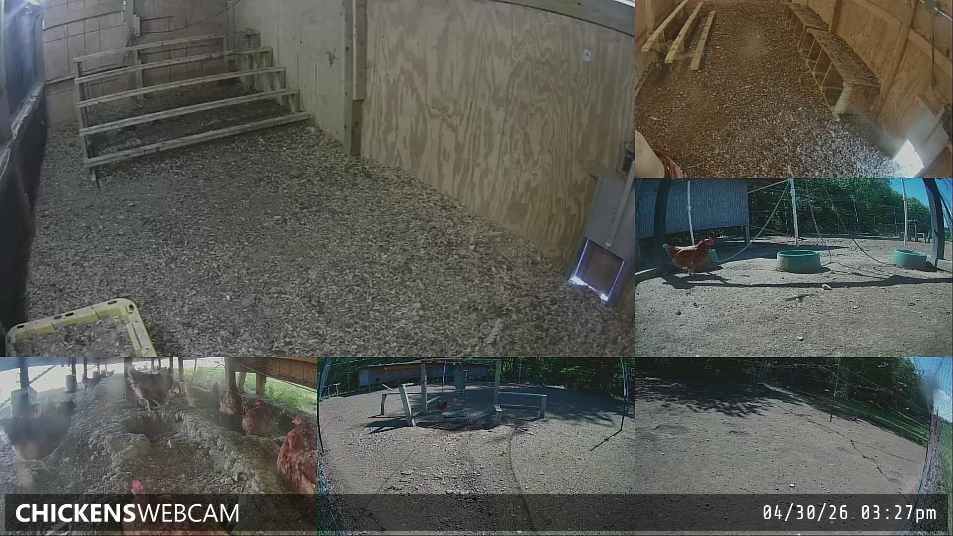 Twitch Stream Preview