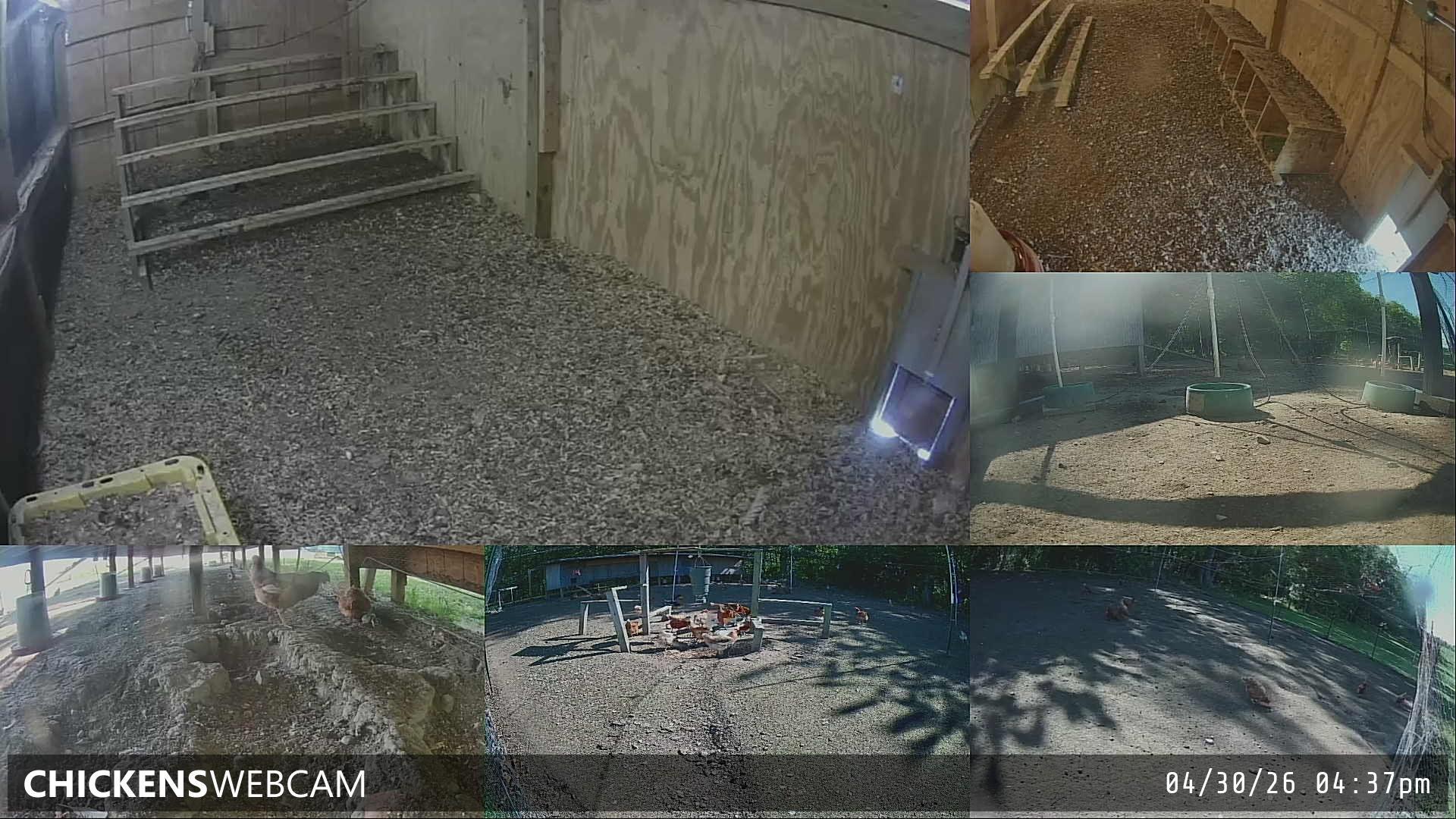 Twitch Stream Preview