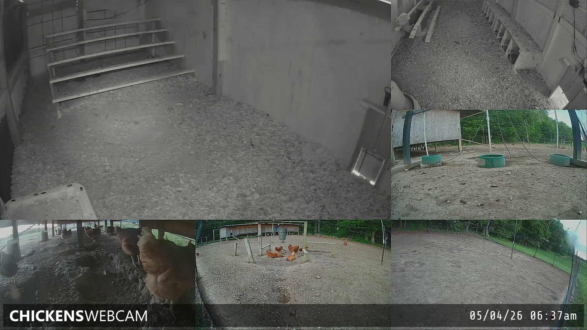 Twitch Stream Preview