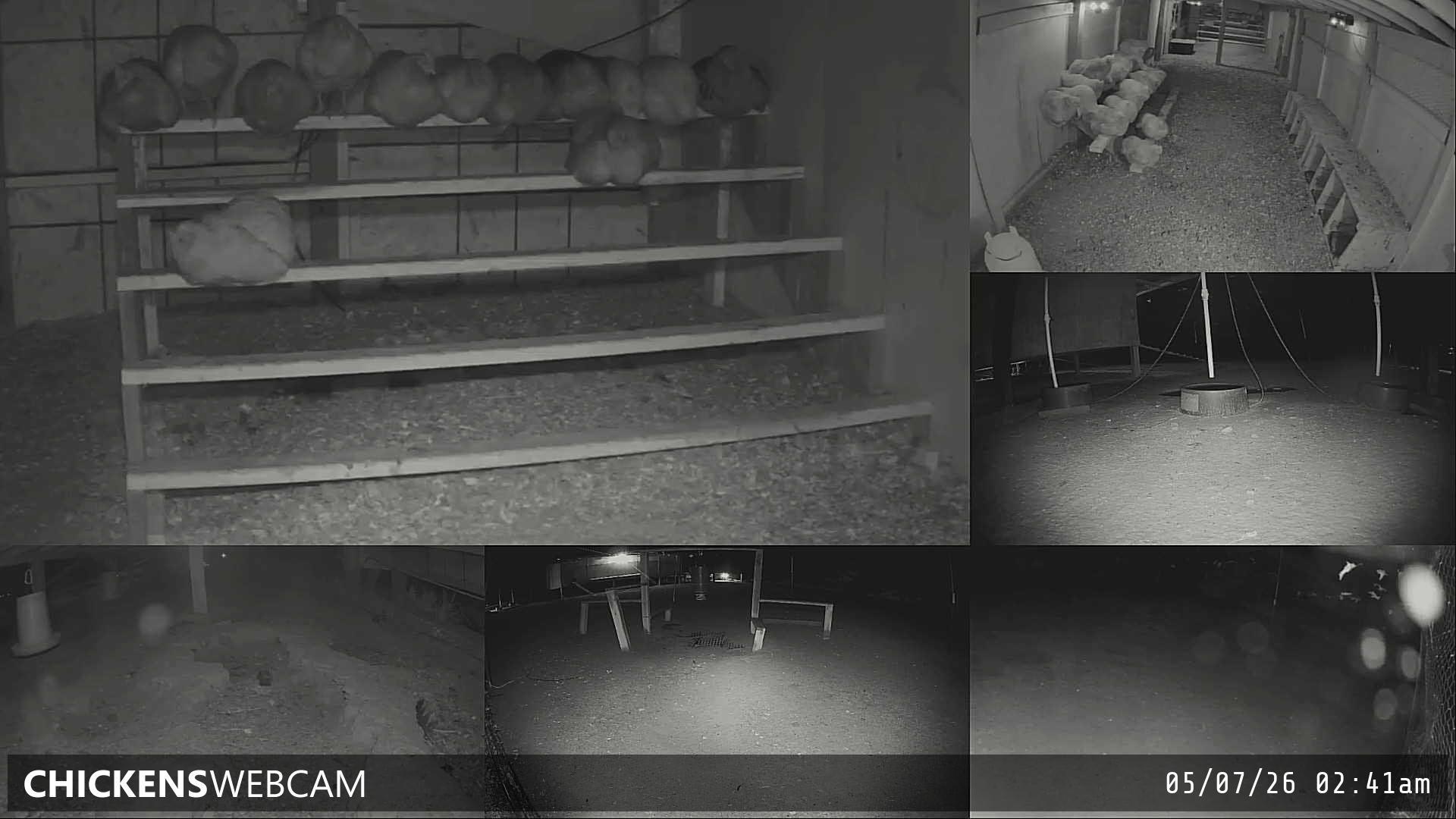 Twitch Stream Preview