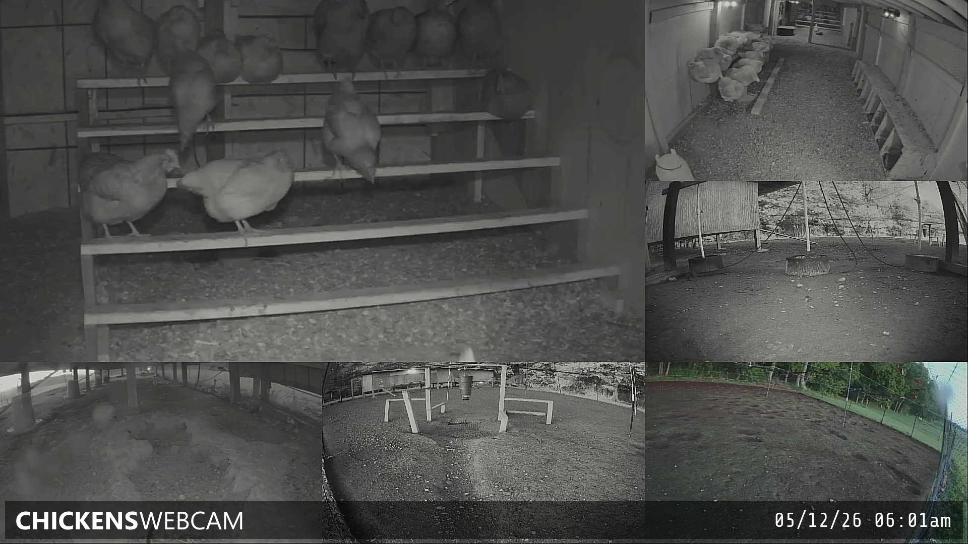 Twitch Stream Preview