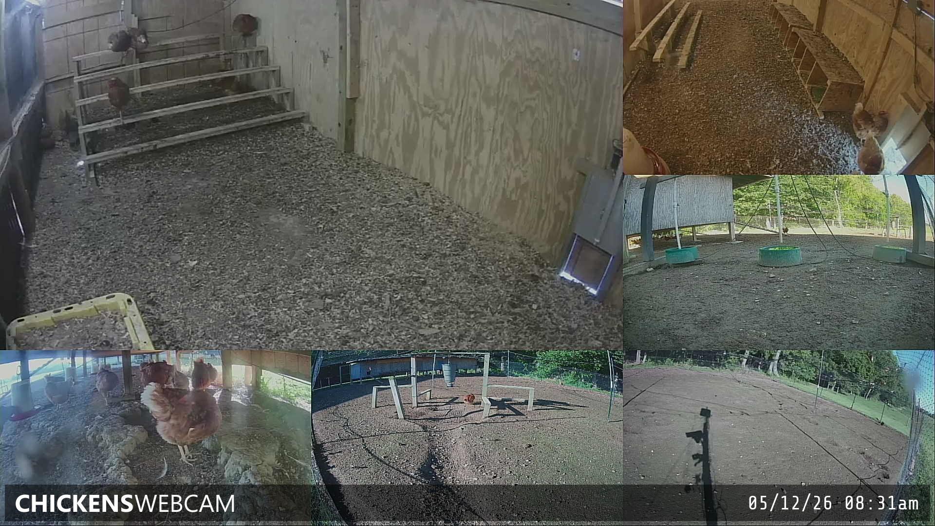 Twitch Stream Preview